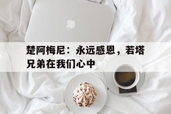 米兰体育-楚阿梅尼：永远感恩，若塔兄弟在我们心中